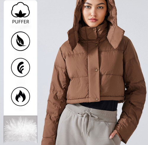 Custom OEM ODM Winter Short Warm Windproof Hooded Top Puff Casual Fashion Hot Girl Down Jacket for Women - DAW161 | Perfect for Wholesalers & Sourcing Agents