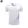 2437 Custom Quick Dry Badminton Jersey - Breathable Unisex Tee for Tennis & Table Tennis Training | OEM, ODM, Wholesale & Sourcing Agents Available