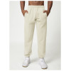 Wholesale OEM Men's Casual Sports Fitness Sweatpants - Versatile Tapered Pants for Home Use, Ideal for European & American Activewear Markets - Custom ODM Services Offered.1017