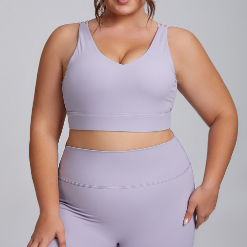 Custom Plus Size Sports Bra Manufacturing - OEM/ODM High Support Activewear Bra for Fitness, Running, & Athleisure - Factory Direct WholesaleF208