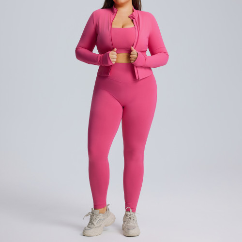 Plus Size Long-Sleeve Yoga Set OEM/ODM Manufacturer | High-Stretch Quick-Dry 3-Piece Sportswear for Women's Activewear & Gym Wear Brands, Wholesale SupplyF213-215-216Plus