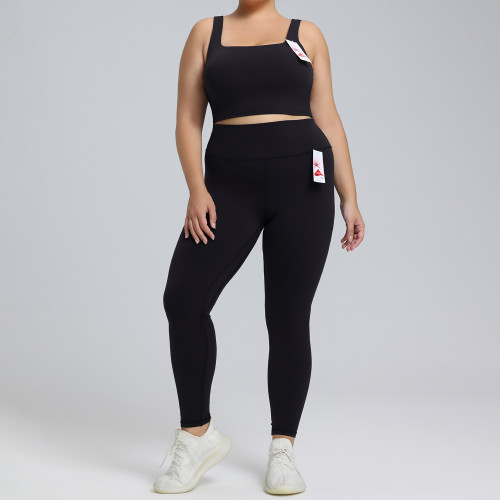 Plus Size Activewear Yoga Set OEM ODM Wholesale Supplier for European & American Market, Lycra Brushed Two-Piece Running & Gym Apparel Production for BrandsF222-221