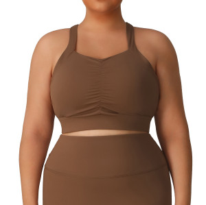Plus Size Sports Bra OEM/ODM Manufacturer & Wholesale Supplier: Shockproof High Support Padded Fitness Yoga Activewear, Custom Production for Brands.P02502-B