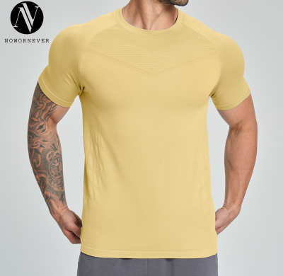 OEM & ODM Men's Seamless Skin-Friendly Sports Fitness Short Sleeve Top – Quick-Dry & Breathable for Hiking, Mountaineering, Home, and Commuting1119
