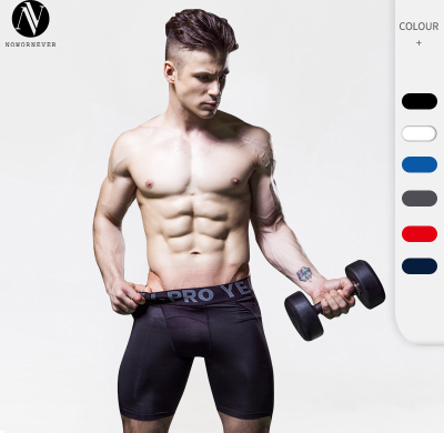 OEM & ODM Men's PRO Sports Shorts - High-Elastic Quick-Dry Mesh Breathable Compression Fitness Training & Running Shorts for Wholesale & Sourcing Agents1045