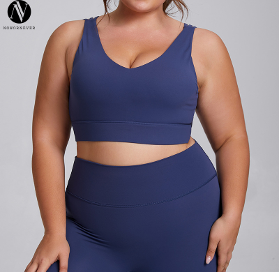 Plus Size High-Stretch Yoga & Gym Wear OEM ODM Wholesale Manufacturer | Brushed Nude-Feel Fabric, Shockproof Design for Custom Sportswear Supply, Global B2B F207-208