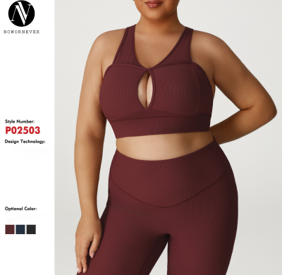 Plus Size Ribbed Sports Bra Manufacturer & OEM/ODM Supplier for High Support Yoga & Gym Activewear, Wholesale & Private Label ProductionP02503-W