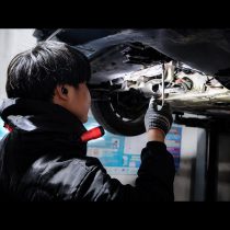 Neck Light | Flexible Goose Neck Design | For Hands Free Inspection