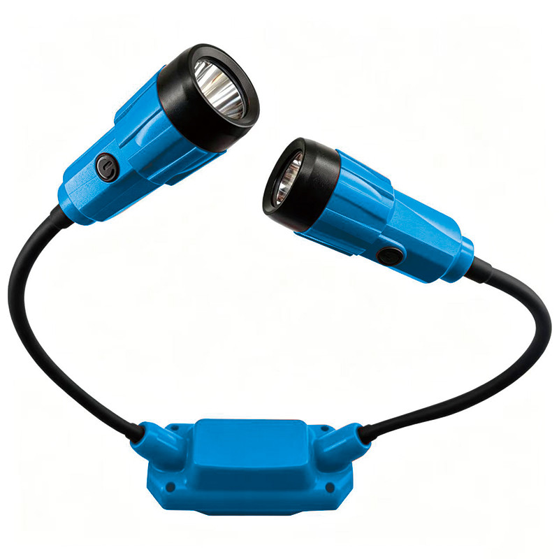 blue neck light with black flexible arms and dual adjustable LED heads for custom product programs