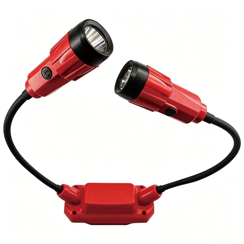 red neck light with black flexible arms and dual adjustable LED heads for custom product programs