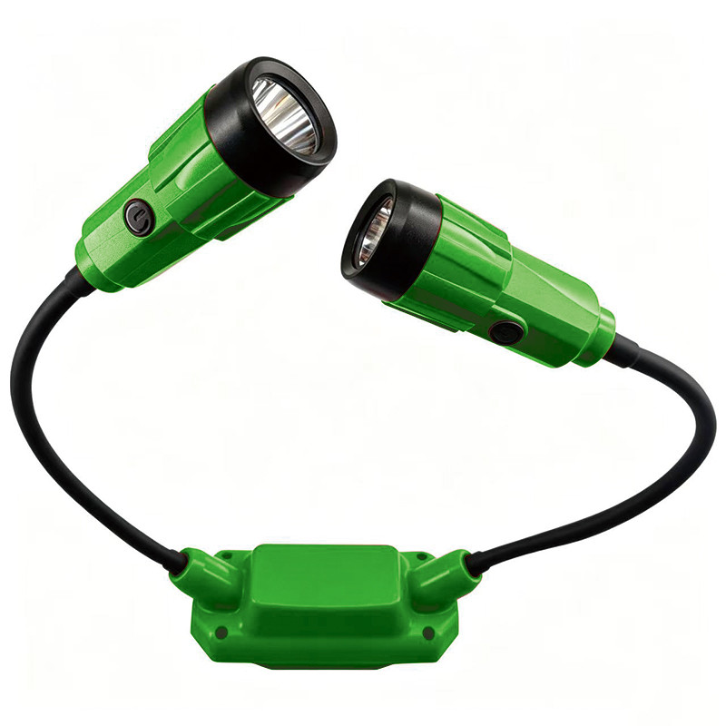green neck light with black flexible arms and dual adjustable LED heads for custom product programs