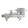 Vacuum Sealer for Food Packaging Machine Manufacturer