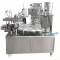 Form Fill and Seal Machine Sealing Machine Manufacturer