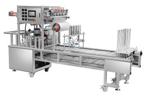 what are the features of the linear filling and sealing machines  ?