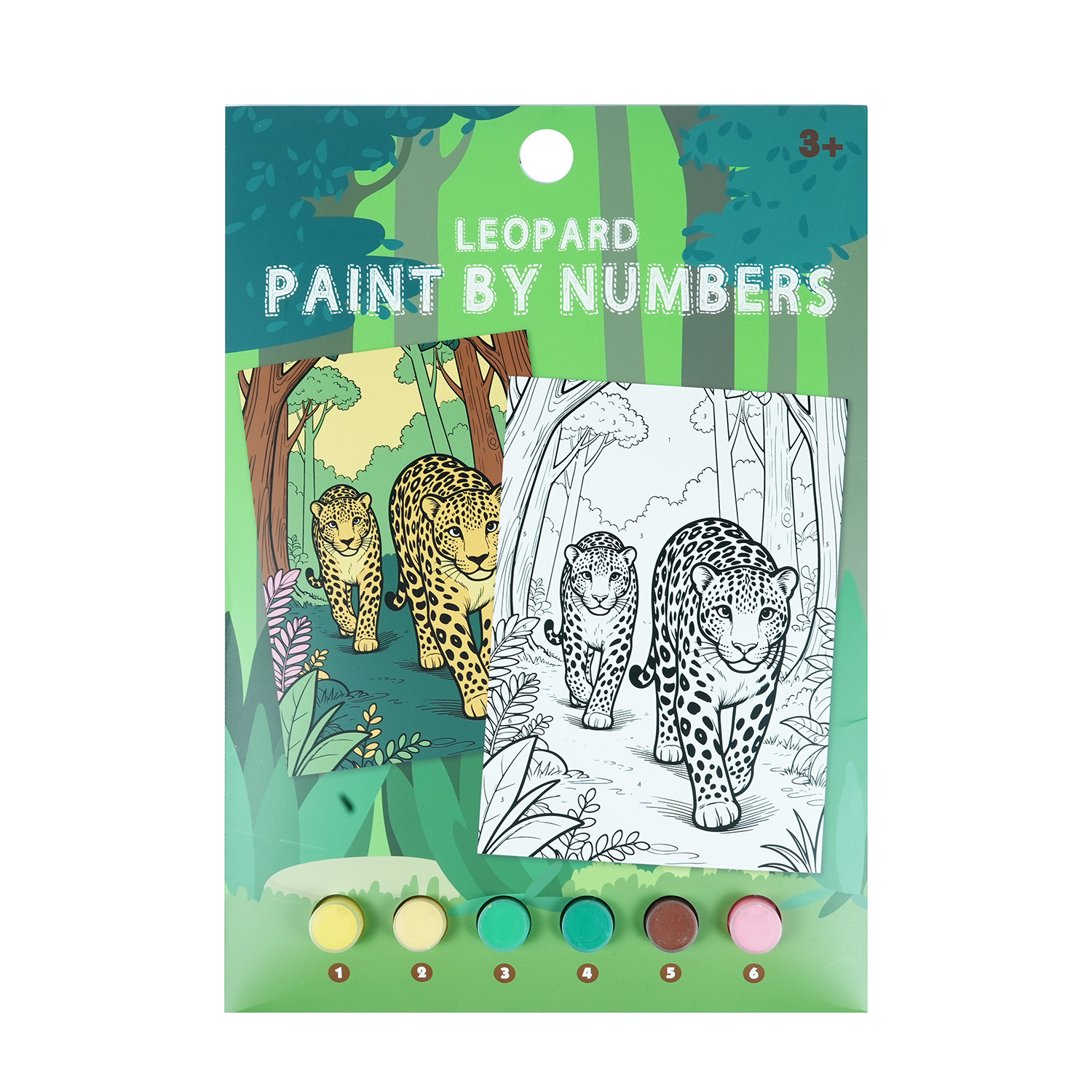 DIY acrylic painting set