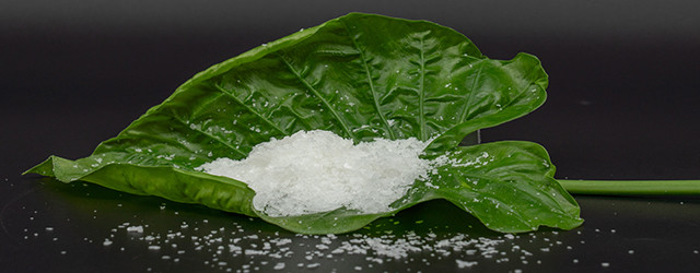 sulfite、thiosulfate sulfite、thiosulfate