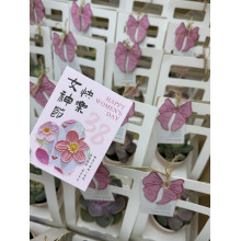 Happy International Women's Day from Call The STYLE!