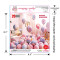 10 inch agate balloon set with 20PCS  thickened explosion-proof birthday scene decoration
