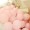 Maca pink (100 pcs）