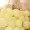 Maca yellow (100 pcs）