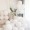 Matte White (100 pcs）