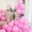 Matte Pink (100 pcs）