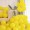 Matte Yellow (100 pcs）