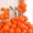Matte Orange (100 pcs）
