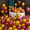 [Metallic gold + pearlescent wine red]100pcs