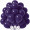 12-inch vintage wisteria color(100pcs)