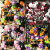 Halloween Balloon Garland Kit Red Black White Bloody Handprint Spider Bat Decor For Party Backdrop