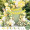 JT-XY0027 JT-XY0027