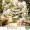 JT-XY0036 JT-XY0036