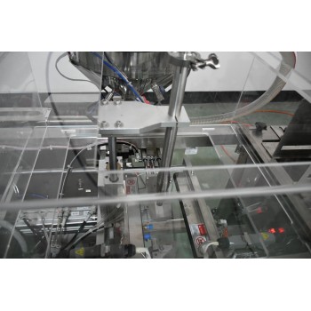 Paste Filling Salad Tomato Sauce Stand up Spout Pouch Premade Bag Doypack Packing Machine