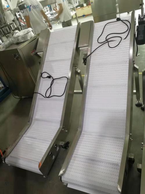 PP Modular Take Away Finished Food Product Output Conveyor for Manufacturing Plant with Packed Bags