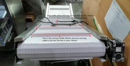 PP Modular Take Away Finished Food Product Output Conveyor for Manufacturing Plant with Packed Bags