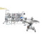 TOP Y Automatically Inhales and Feeds the Filling Machine Pneumatic Liquid Conveyor