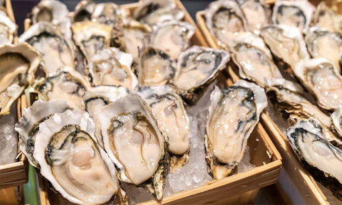 Fresh oyster