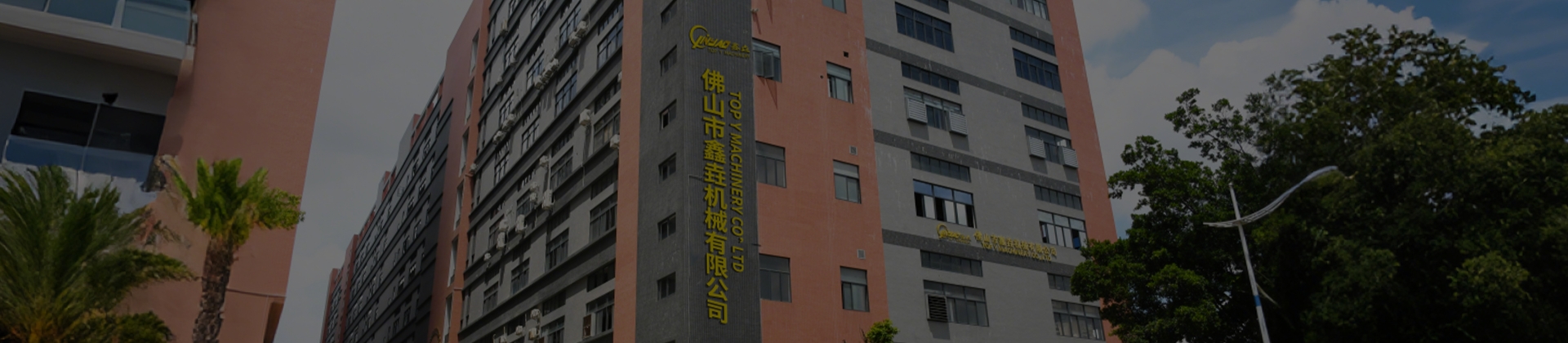 Top Y Food Packing Machine Factory