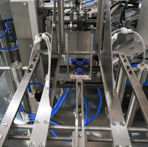 Automatic Gusset Pouch Doypack Packaging Machinery Pet cat Dog Granule Food Premade Bag Rotary Packing Machine