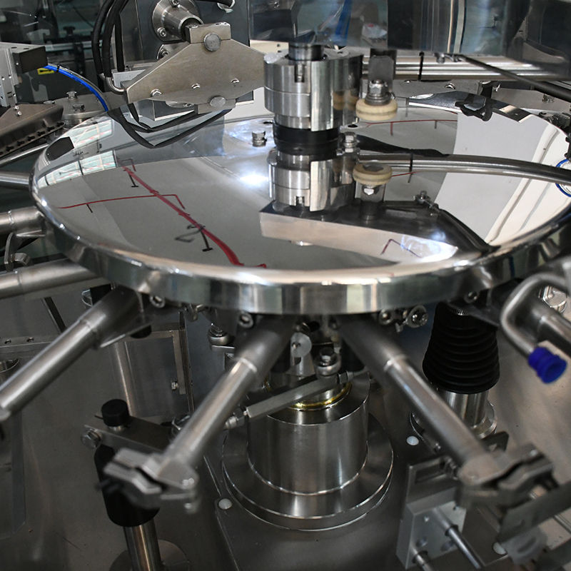 Premade pouch packing machine for dry fruit nuts almonds cashew — rotary pouch sealing station