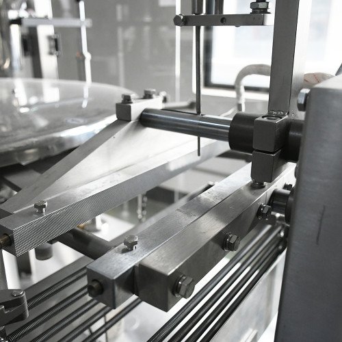 Automatic Rotary Spout Pouch Packing Machine| Filling Machine | Premade Bag