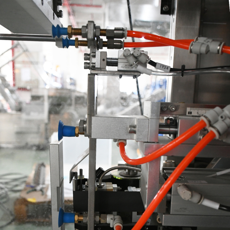 TOPY-MDP1 premade bag packaging machine detail - sealing station and control panel of a new machine