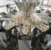 Multihead Weigher vs Linear Weigher for Nuts: Cost Savings Guide