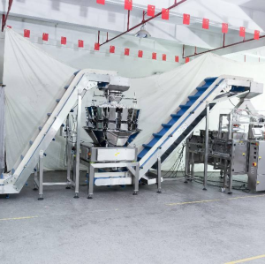 Customized Dump Height 0.8L 1.4L 3L Stainless Steel Incline Bowl Conveyor