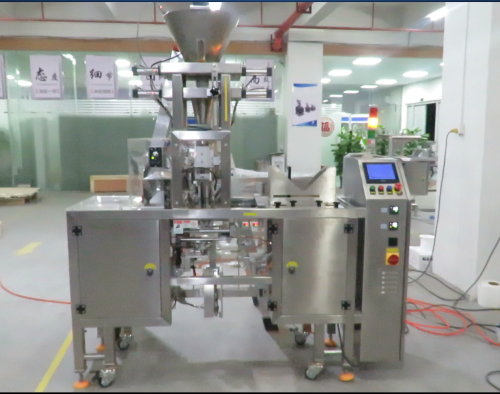 Oats Doypack Packing Machine | Full Automatic | for Coffee Chilli Cocoa Masala