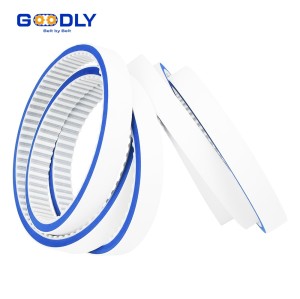 Foam Top Conveyor Belt | Sponge Surface | Capping & Labeling | OEM ODM Services