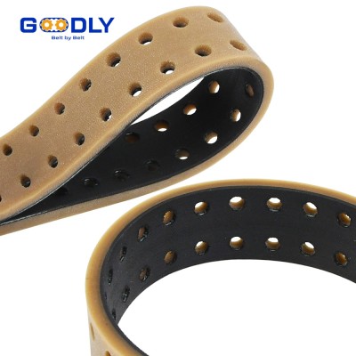 Food Grade Molded Belt | Seamless Vulcanized | FDA Compliant | Sanitary Design