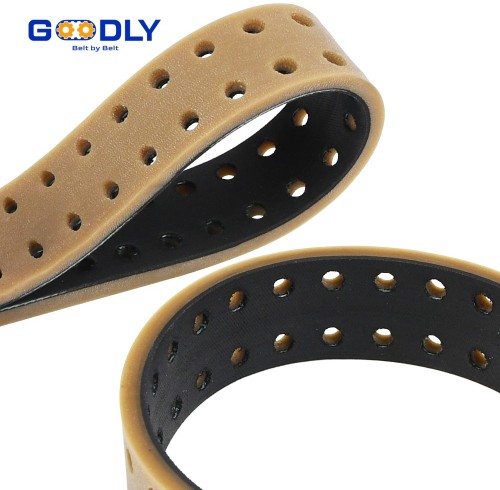 Food Grade Molded Belt | Seamless Vulcanized | FDA Compliant | Sanitary Design