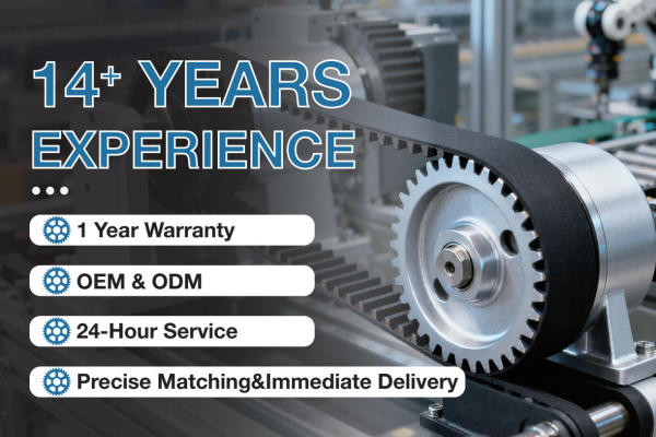 Customer Case Study: Guangzhou GOODLY Provides One-Stop Synchronous Pulley Solutions for Korean Logistics Wholesalers